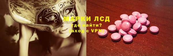 spice Инта