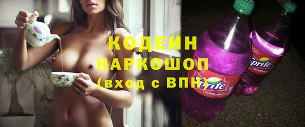 spice Инта