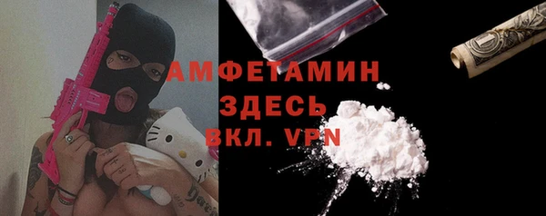 твердый Инсар