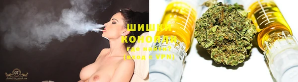 эйфоретик Иннополис