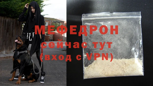 твердый Инсар