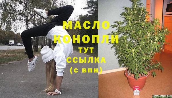 твердый Инсар