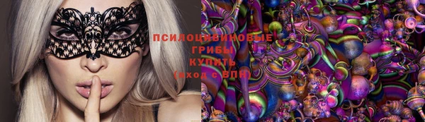 spice Инта