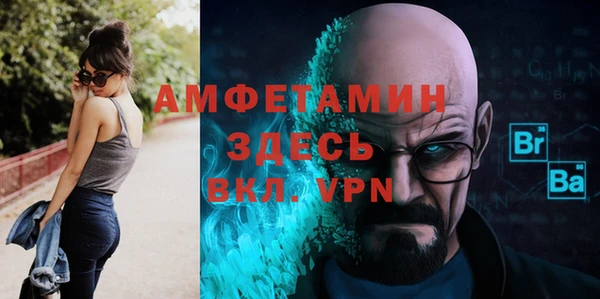 spice Инта
