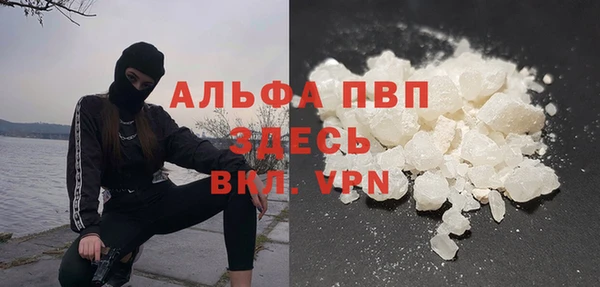 твердый Инсар